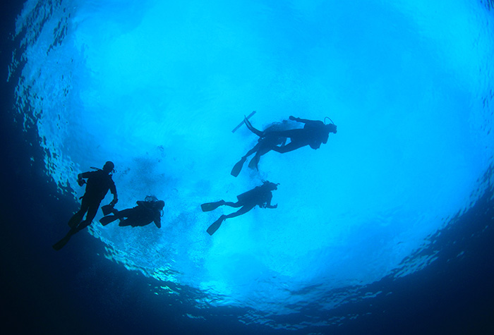 02-diving-in-riviera-olympia-resort